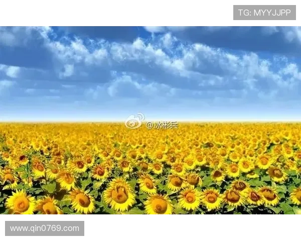 足球明星在赛季间隙享受生活放空自己寻找内心的平静与灵感