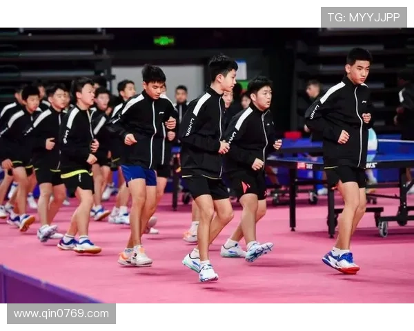 乒乓球的魅力与灵动：深入了解成都乒乓球队的灵活训练与战术策略